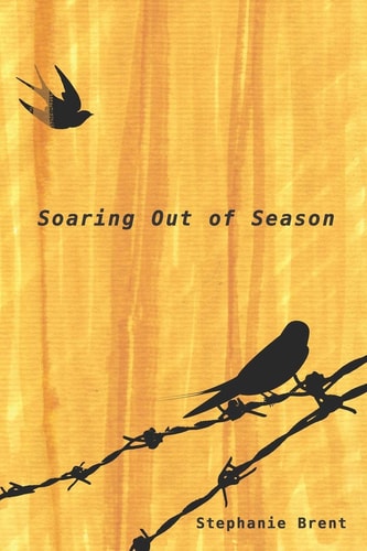 Soaring Out of Season