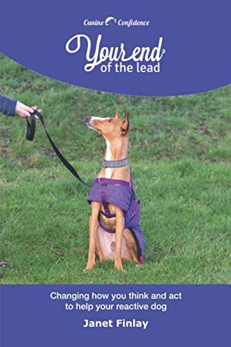 Your End of the Lead Changing how You Think and Act to Help Your Reactive Dog