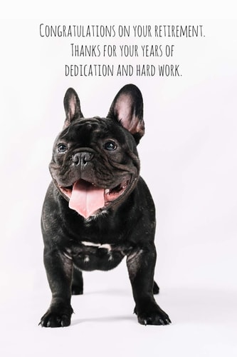 Congratulations on Your Retirement. Thanks for Your Years of Dedication and Hard Work Funny Retirement Gift for Coworker / Colleague That Is Going to Retire to Enjoy Pension and Happy Life Dog Lover