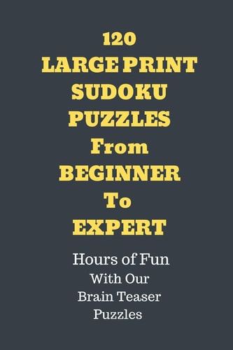 120 Sudoku Large Print Puzzles from Beginner to Expert Hours of Fun with Our Brain Teaser Puzzles.