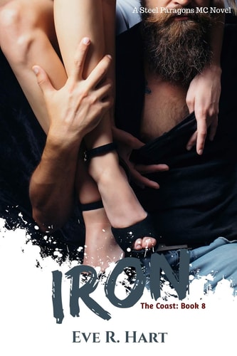 Iron A Steel Paragons MC Novel