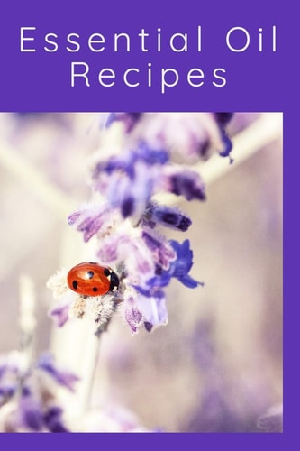 Essential Oil Recipes 110 Pages 6 X 9 Inches
