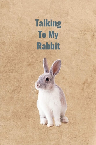 Talking To My Rabbit