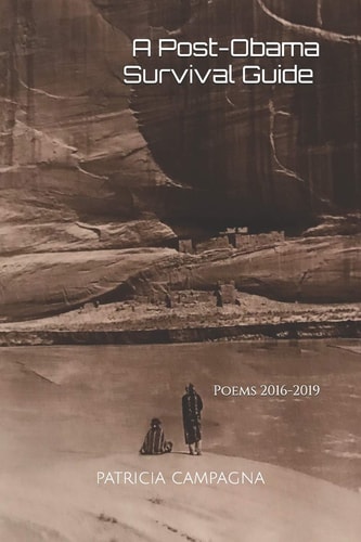 A Post-Obama Survival Guide Poems 2016-2019