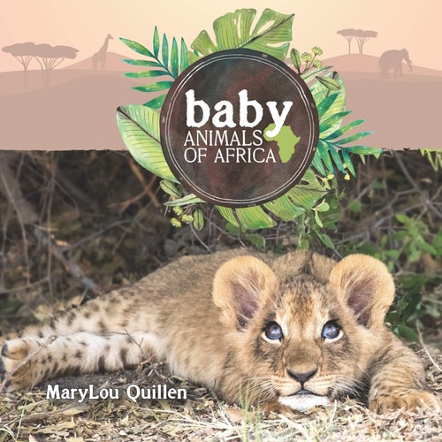 Baby Animals of Africa