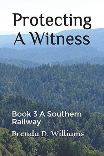 Protecting a Witness Book 3 a Southern Railway