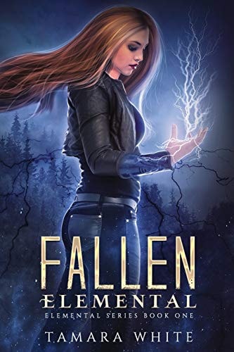 Fallen Elemental A Reverse Harem Story