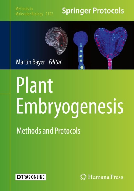 Plant Embryogenesis: Methods and Protocols