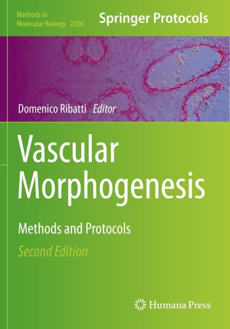Vascular Morphogenesis: Methods and Protocols