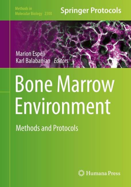 Bone Marrow Environment: Methods and Protocols