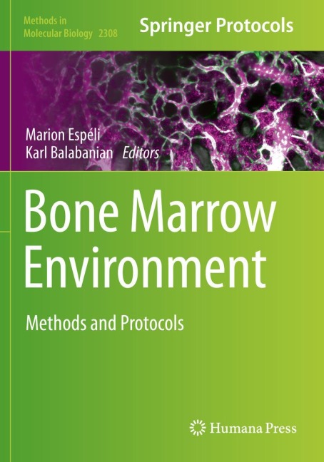Bone Marrow Environment: Methods and Protocols