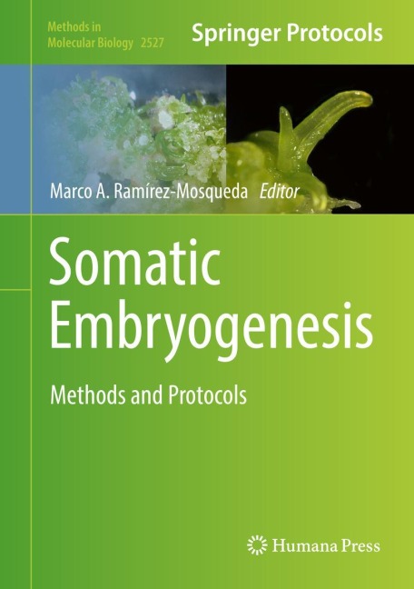 Somatic Embryogenesis: Methods and Protocols