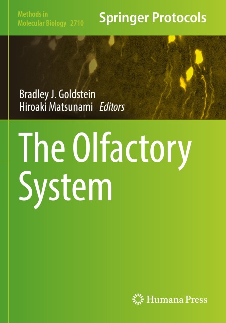 The Olfactory System