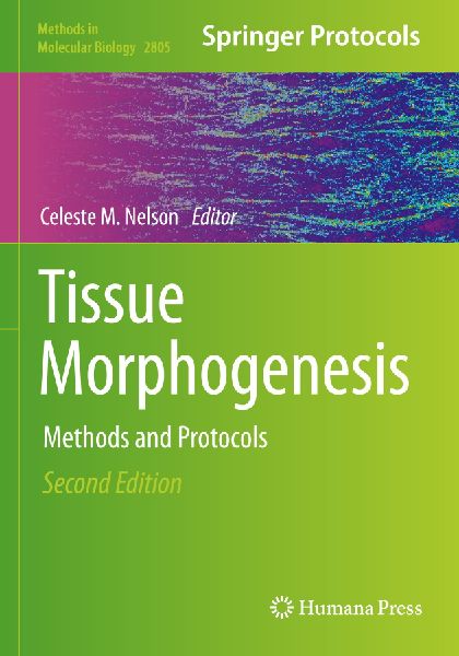 Tissue Morphogenesis: Methods and Protocols