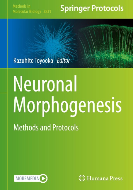 Neuronal Morphogenesis: Methods and Protocols