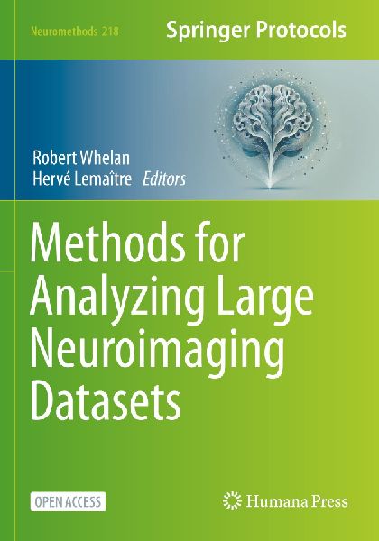 Methods for Analyzing Large Neuroimaging Datasets