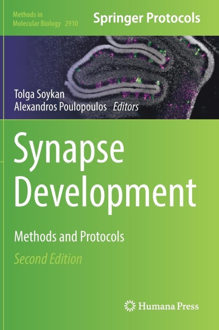 Synapse Development: Methods and Protocols