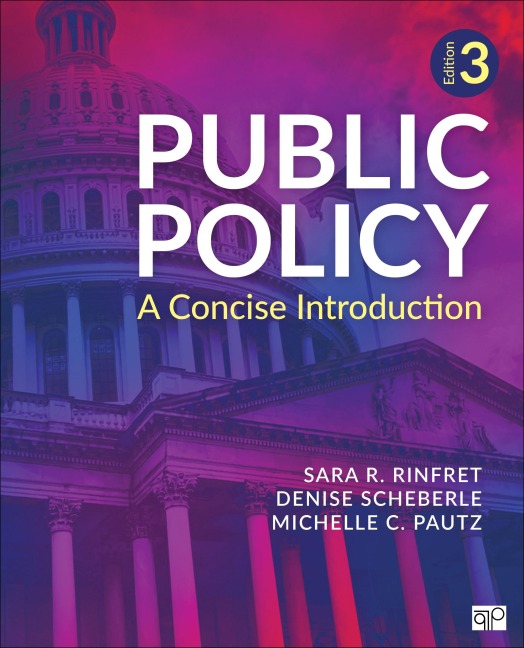 Public Policy: A Concise Introduction