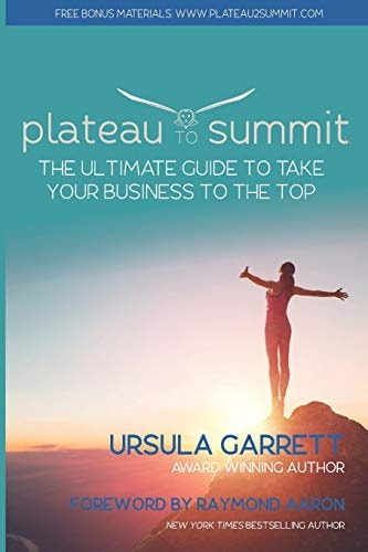 Plateau to Summit The Ultimate Guide to Take Your Business to the Top