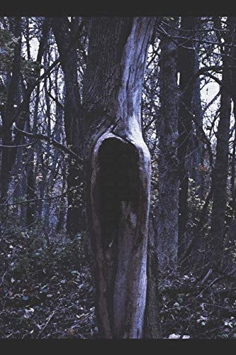 Sacrum Umbra The Gothic Horror of Amanda M. Lyons