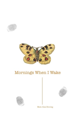 Mornings When I Wake