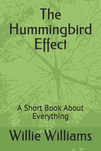 The Hummingbird Effect A Short Book About Everything