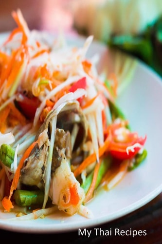 My Thai Recipes Book to Record Your Recipes Make Your Own Favorite Thai Recipe Book