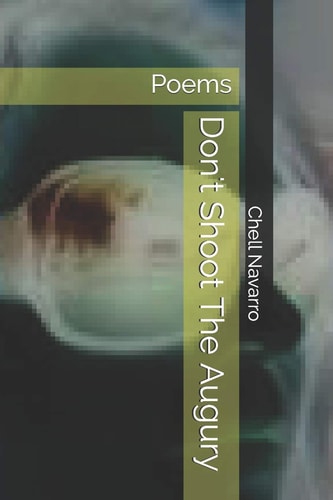 Don't Shoot The Augury Poems