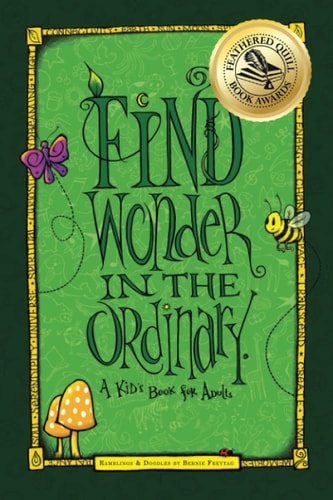 Find Wonder in the Ordinary A Kid's Book for Adults