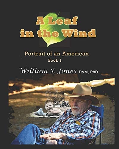 A Leaf in the Wind : Portrait of an American, Book 1