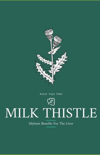 Milk Thistle Silybum Benefits For The Liver