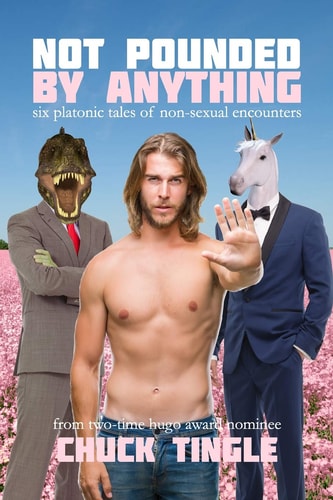 Not Pounded By Anything Six Platonic Tales Of Non-Sexual Encounters