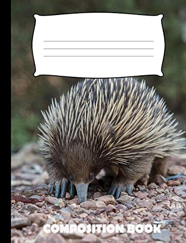 Composition Book Anteater Composition Notebook Wide Ruled
