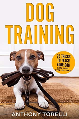 Dog Training 25 Tricks to Teach Your Dog: Explained Step-By-Step