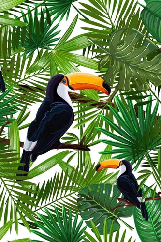 Tropical Toucans Graph Paper Notebook, 6x9 Inch, 120 Pages