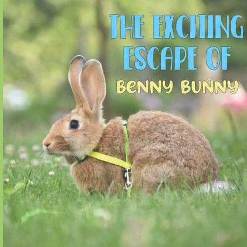 The Exciting Escape Of Benny Bunny A Cute Tale of a Rascally Rabbit