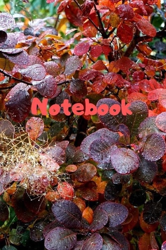 Notebook Notebook / Diary With Colored Cover - Wide Ruled Line Paper