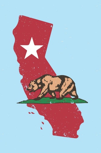 California State Bear Graph Paper Notebook, 6x9 Inch, 120 Pages