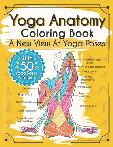 Yoga Anatomy Coloring Book A New View At Yoga Poses