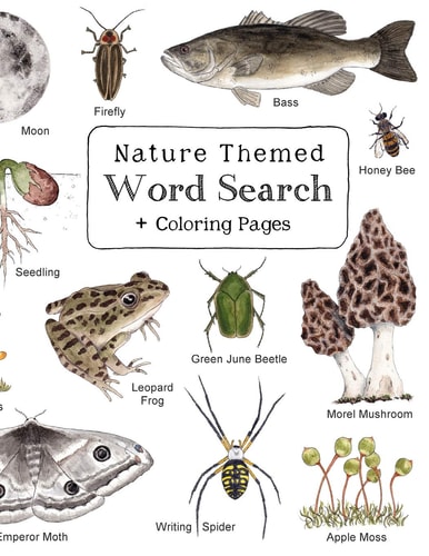 Nature Themed Word Search Nature Inspired Word Search Book with 64 Puzzles and Bonus Coloring Pages for Kids Ages 7 and Up