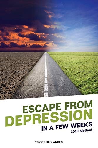 Escape from Depression in a Few Weeks How to Stop Depression, Burnout, Anxiety, Stress and Recover Your Happiness