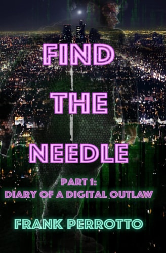 Find the Needle, Part One Diary of a Digital Outlaw