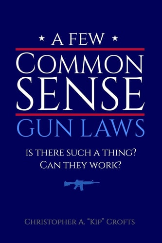 A Few Commonsense Gun Laws Is There Such a Thing? Can They Work?