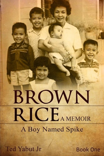Brown Rice, a Memoir Book One: a Boy Named Spike