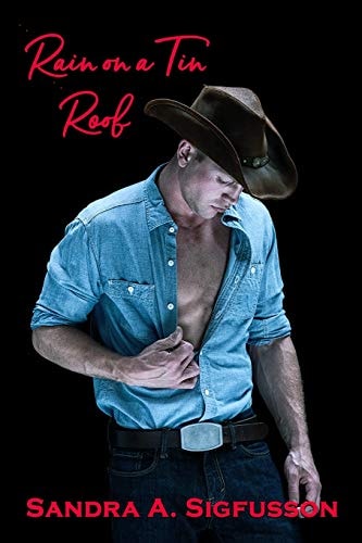 Rain on a Tin Roof A Romance Novel