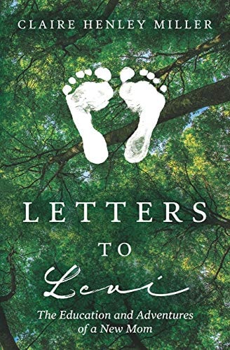 Letters to Levi The Education and Adventures of a New Mom