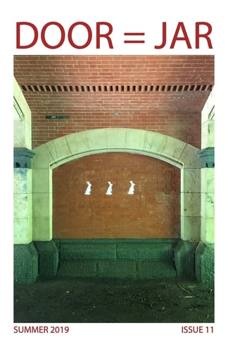 DOOR = JAR Issue 11: Summer 2019 Door Is a Jar Literary Magazine