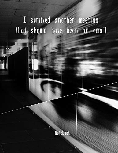 I Survived Another Meeting That Should Have Been an Email Notizbuch Schreibheft Oder Als Block DIN A4 124 Seiten Soft Cover Liniertes Notizbuch Mit Spruch Geschenkidee Sprüche Für Jeden Tag Sprüche Buch Berufsalltag Oder Studium
