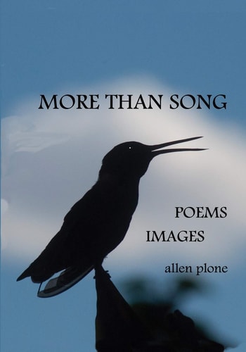 More Than Song Poems & Images