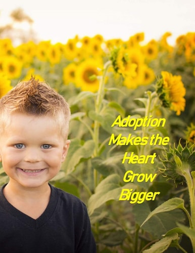 Adoption Makes the Heart Grow Bigger A Baby Book To Follow The Child's Life From Adoption Through Five Years